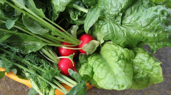 BIOFOOD Touraine vendu