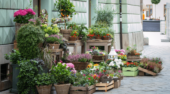 Devanture d’un fleuriste artisanal – Plus de Fleurs, Auvergne-Rhône-Alpes