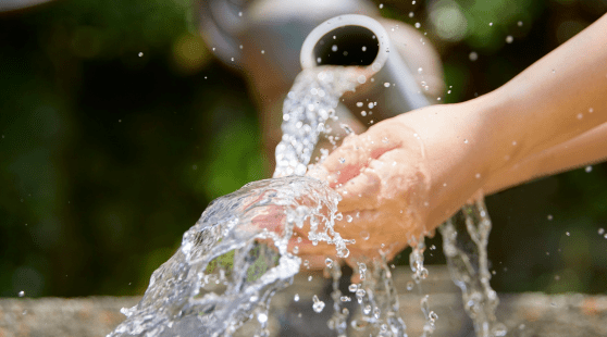 SARC-SERVIMO-services-Eurallia Finance-Orléans